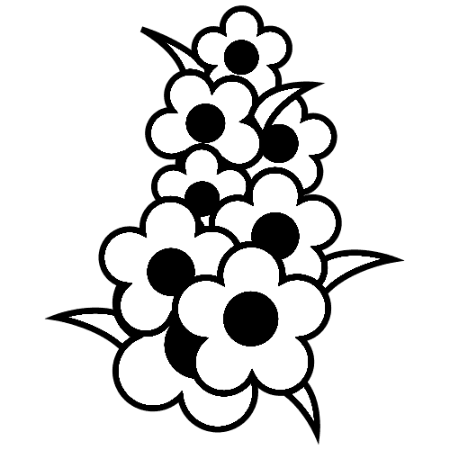 Flower category
