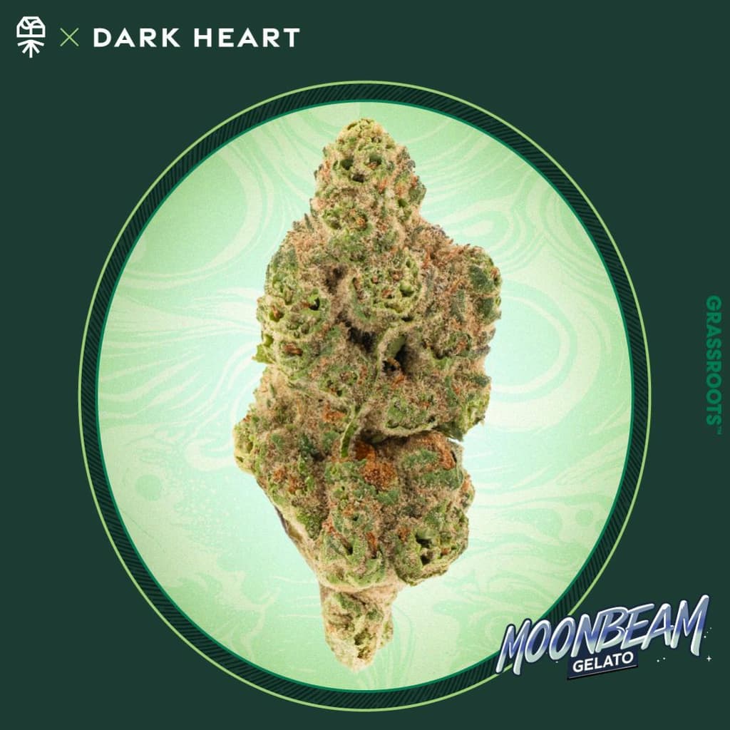 Dark Heart | Moonbeam Gelato - The Flowery NY