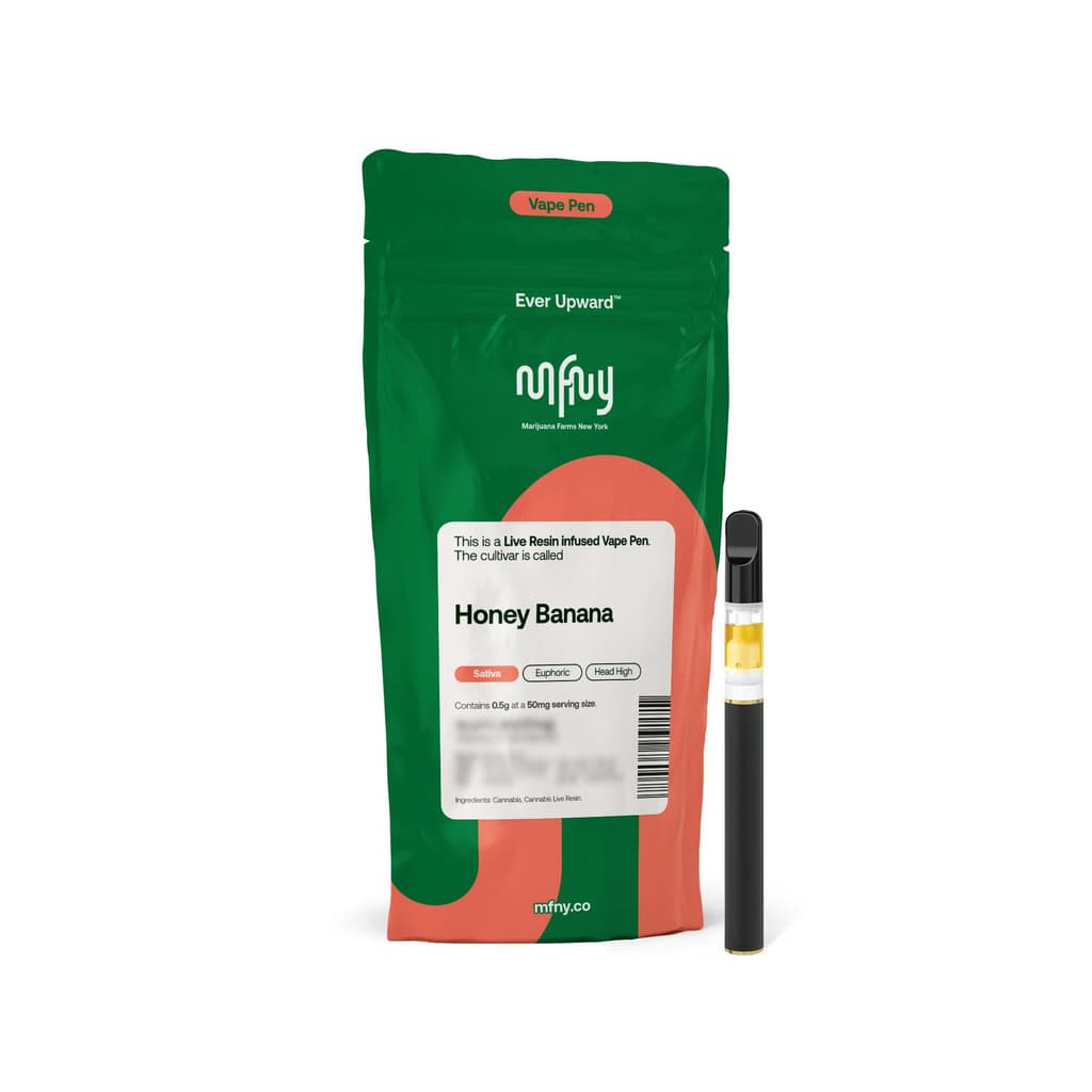 where to buy vapid flash gt 2G AIO | APPLE BERRY main image 1