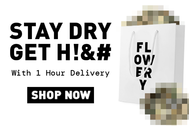 Weed Delivery to Croton-on-Hudson, NY: Same-Day Service from The Flowery Haverstraw