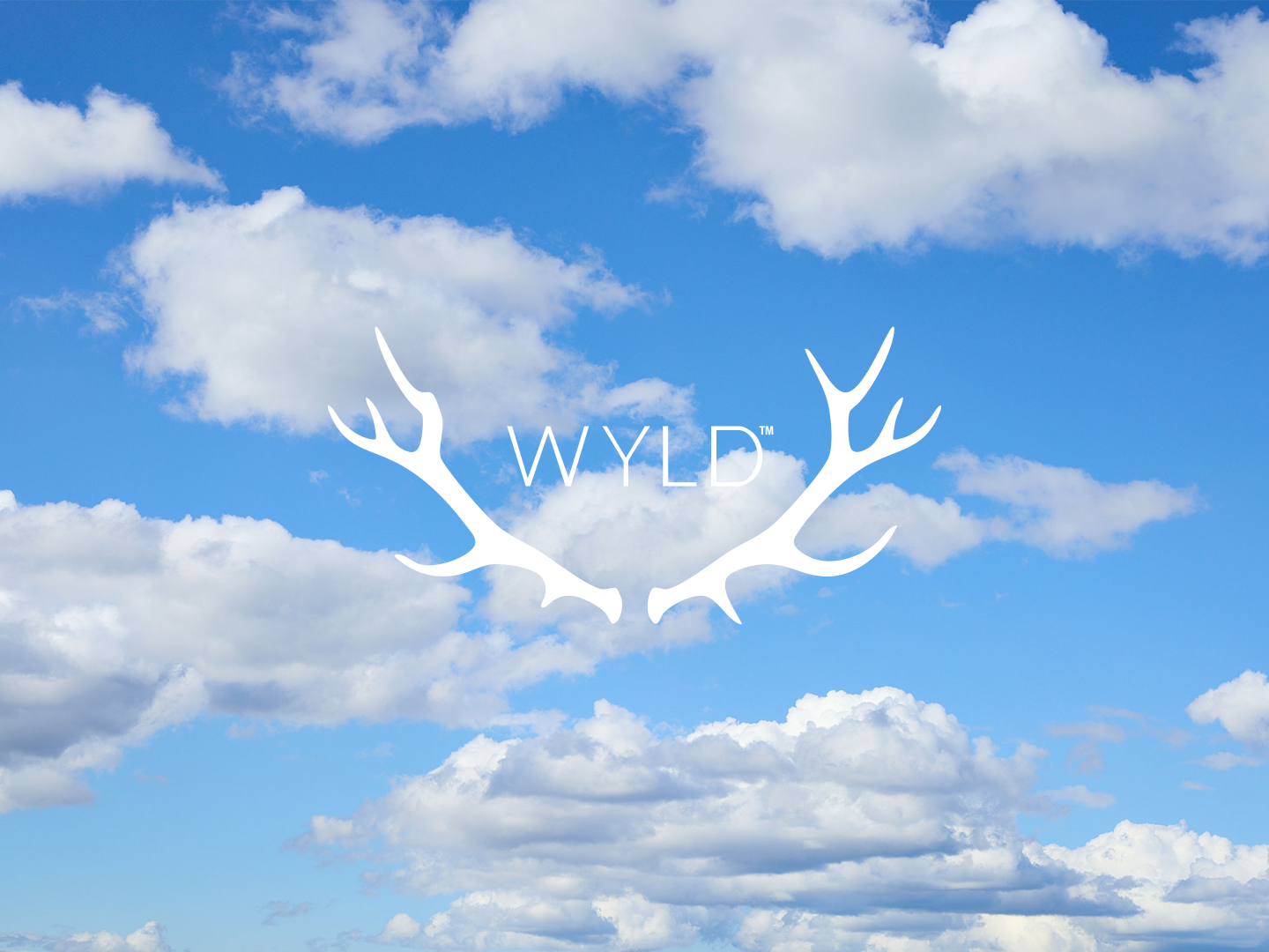 Where to Buy Wyld Gummies in NYC (Legit, Licensed, Delivered)