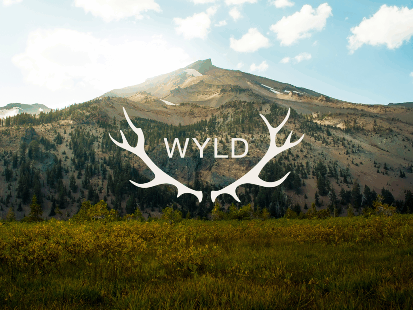 Wyld Gummies Delivery in NYC: How Fast Can You Actually Get Them