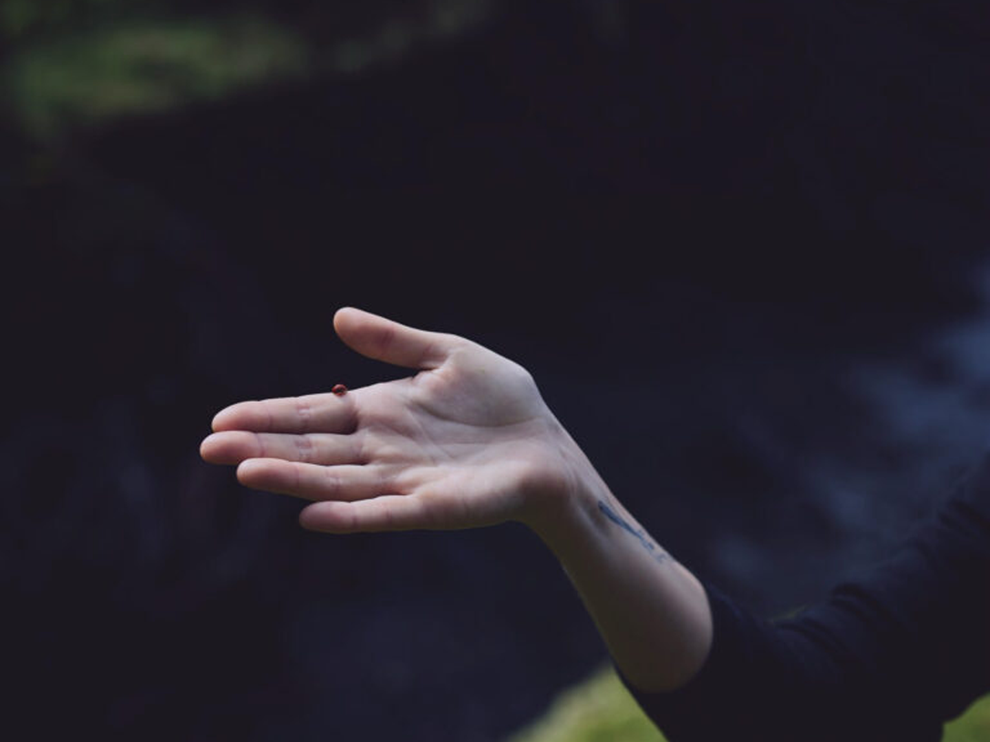 Wyld Marionberry Indica: The NYC Nightcap That Earns Its Price