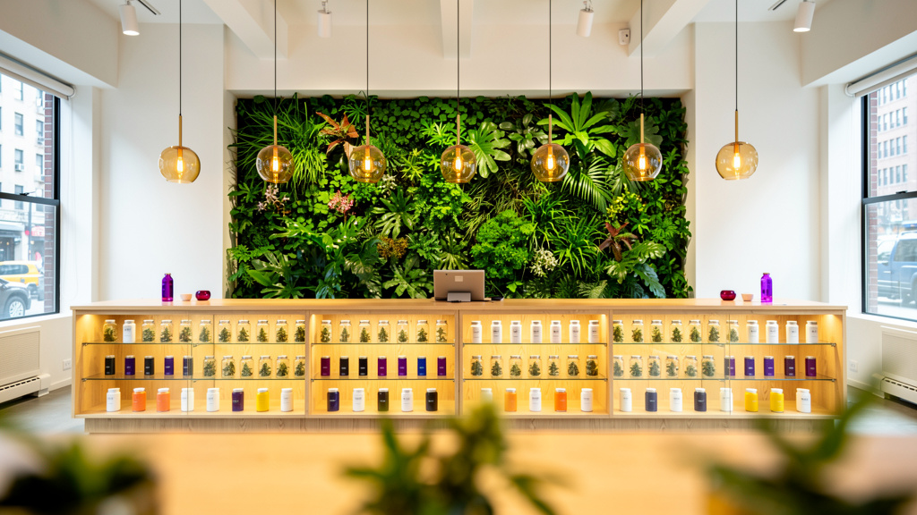 Best Pot Shop Near Vails Gate, NY: A Local Guide to The Flowery Newburgh