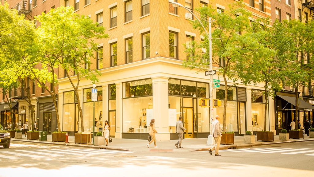 NYC Legal Dispensaries Compared: Why Smokers Are Choosing The Flowery in 2026