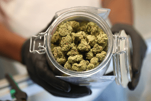 Haverstraw Cannabis Laws 2026: A Guide to Local Consumption and Safety